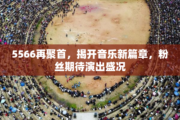 5566再聚首，揭开音乐新篇章，粉丝期待演出盛况