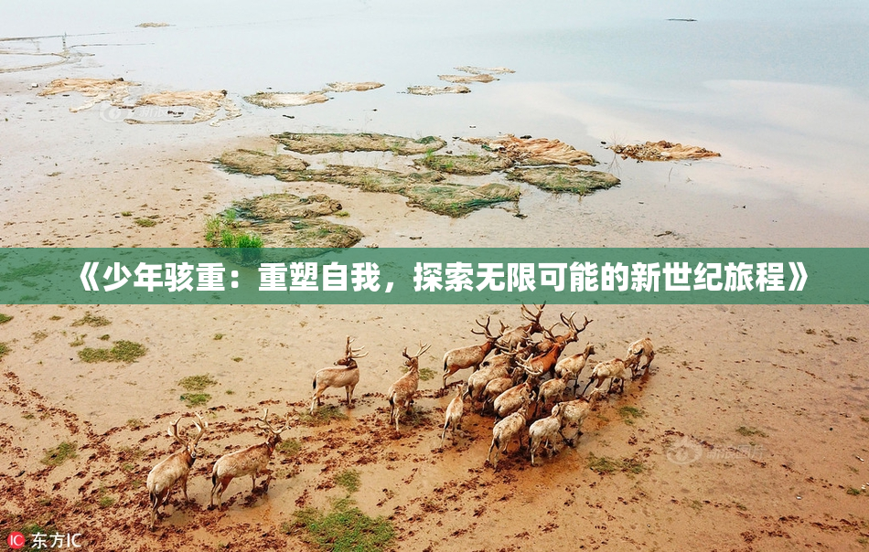 《少年骇重：重塑自我，探索无限可能的新世纪旅程》