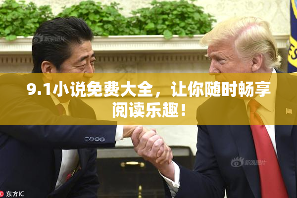 9.1小说免费大全，让你随时畅享阅读乐趣！