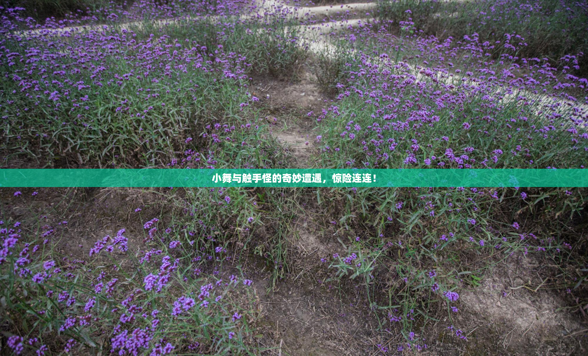 小舞与触手怪的奇妙遭遇，惊险连连！