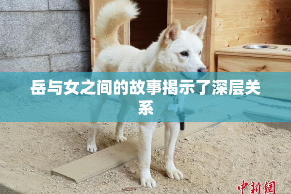 岳与女之间的故事揭示了深层关系