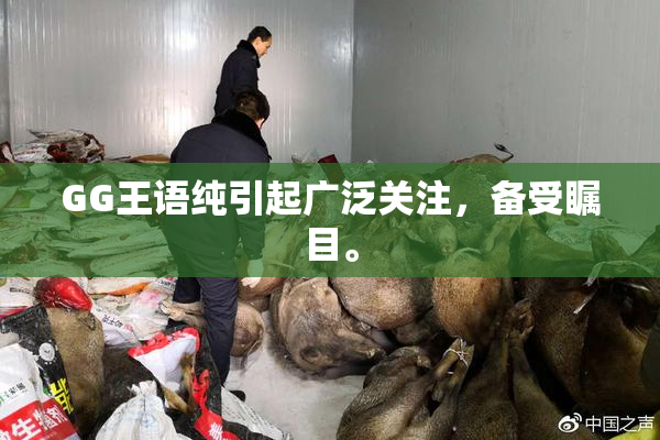 GG王语纯引起广泛关注，备受瞩目。
