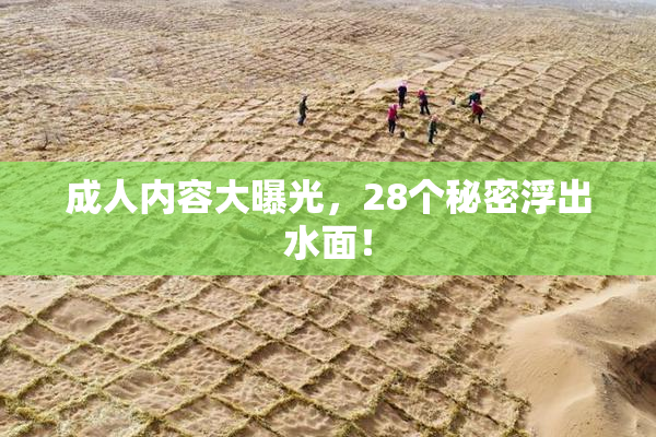 成人内容大曝光，28个秘密浮出水面！