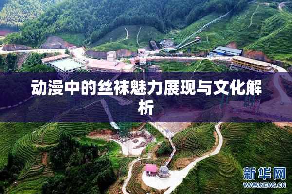 动漫中的丝袜魅力展现与文化解析