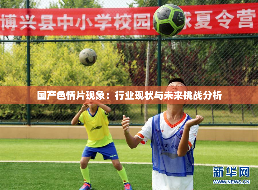 国产色情片现象：行业现状与未来挑战分析