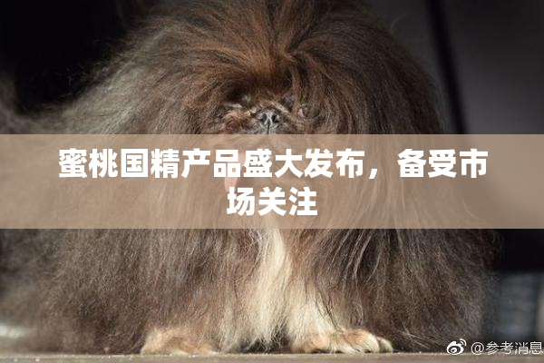 蜜桃国精产品盛大发布，备受市场关注