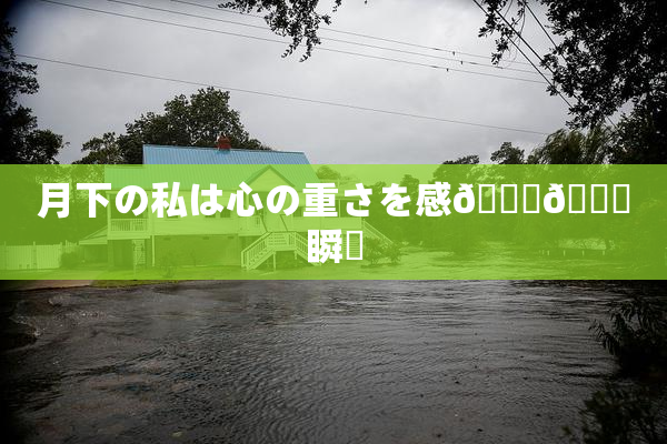 月下の私は心の重さを感🍓🌃瞬間