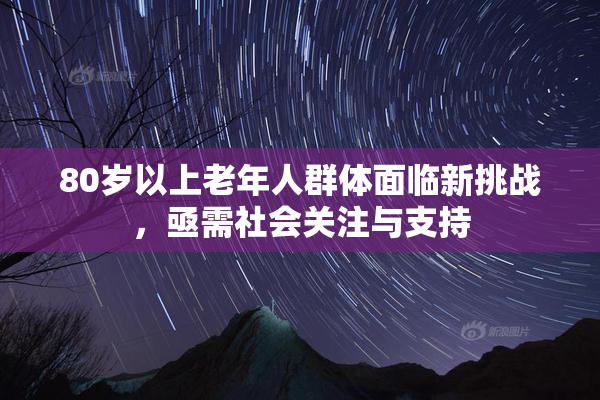 80岁以上老年人群体面临新挑战，亟需社会关注与支持