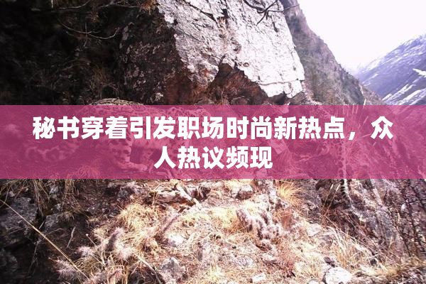 秘书穿着引发职场时尚新热点，众人热议频现