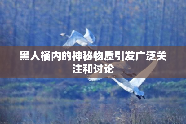 黑人桶内的神秘物质引发广泛关注和讨论