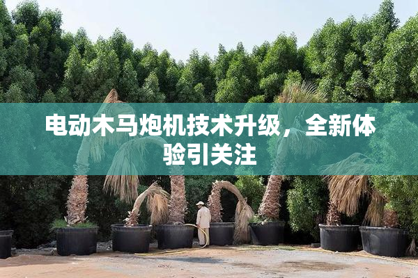 电动木马炮机技术升级，全新体验引关注