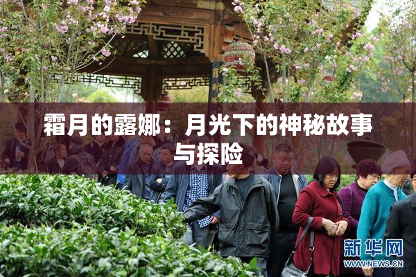 霜月的露娜：月光下的神秘故事与探险