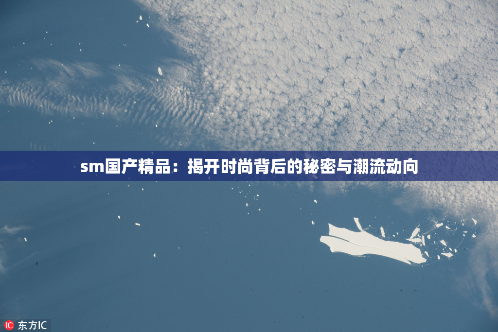 sm国产精品：揭开时尚背后的秘密与潮流动向