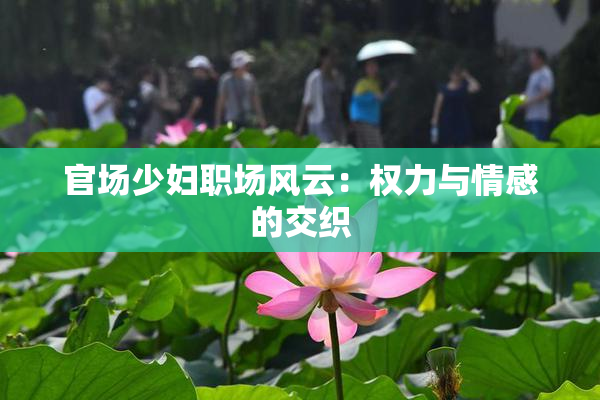 官场少妇职场风云：权力与情感的交织