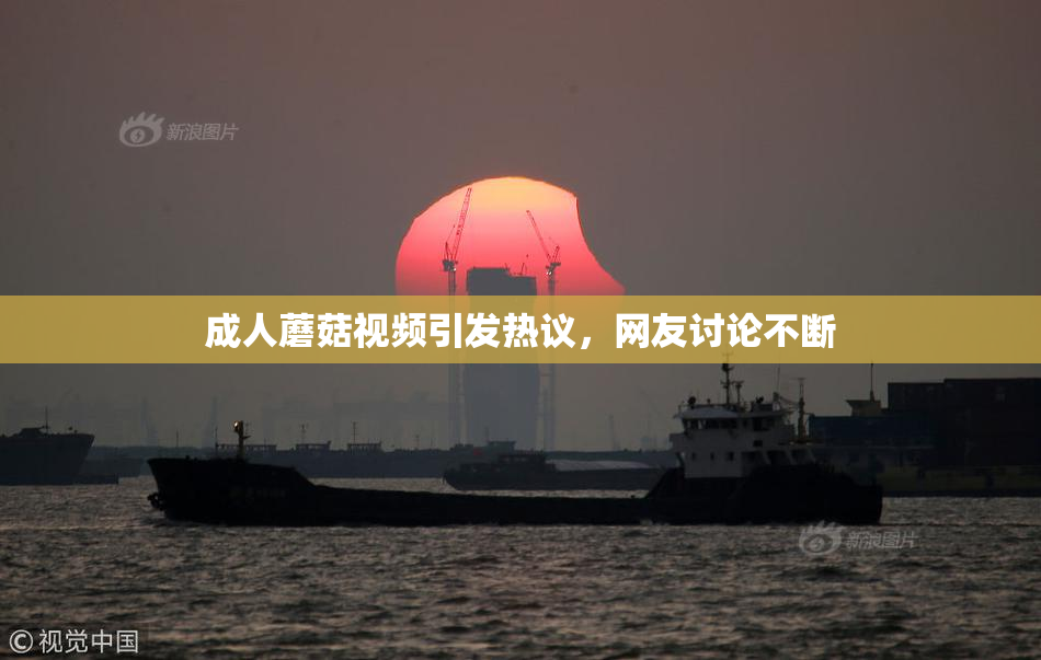 成人蘑菇视频引发热议，网友讨论不断