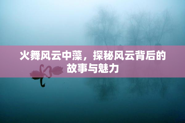 火舞风云中藻，探秘风云背后的故事与魅力