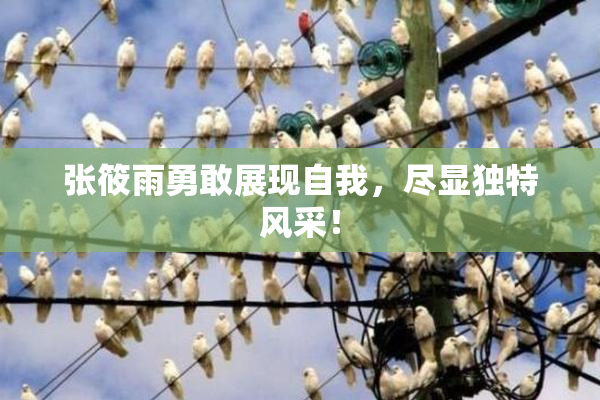 张筱雨勇敢展现自我，尽显独特风采！