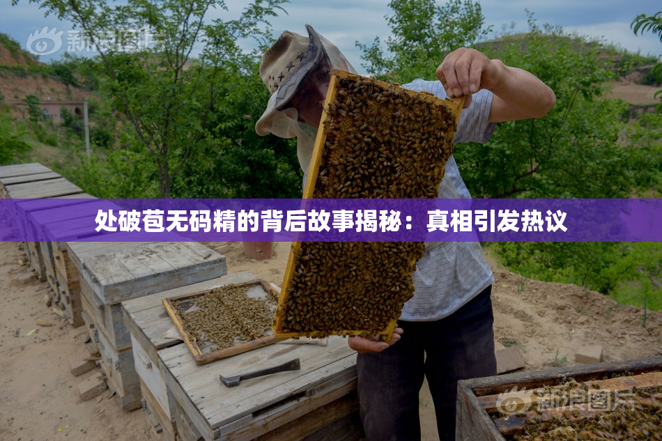 处破苞无码精的背后故事揭秘：真相引发热议