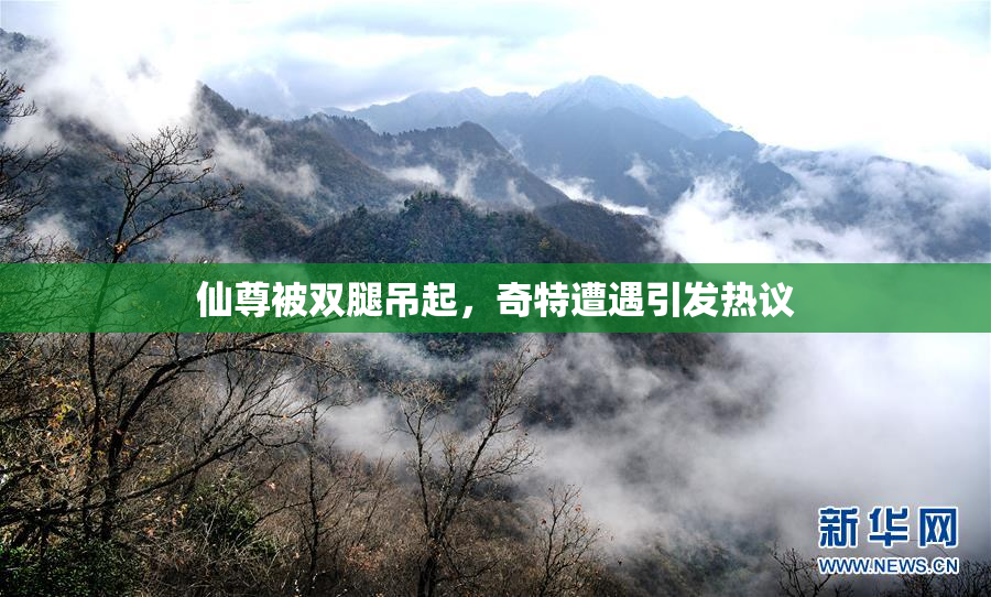 仙尊被双腿吊起，奇特遭遇引发热议