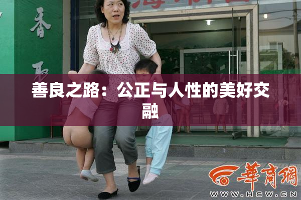 善良之路：公正与人性的美好交融
