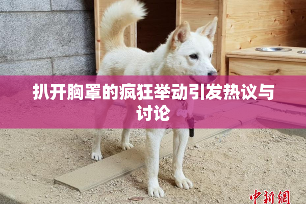 扒开胸罩的疯狂举动引发热议与讨论
