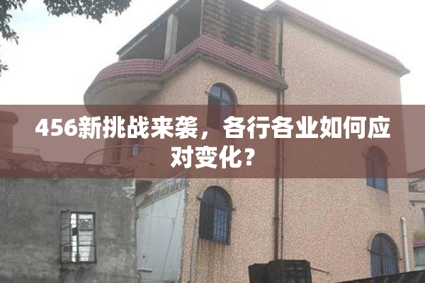 456新挑战来袭，各行各业如何应对变化？