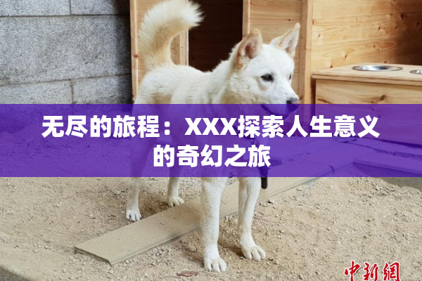 无尽的旅程：XXX探索人生意义的奇幻之旅