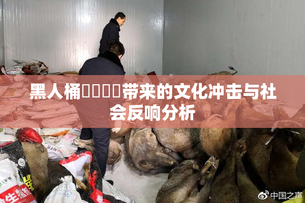 黑人桶❌‌❌‌带来的文化冲击与社会反响分析