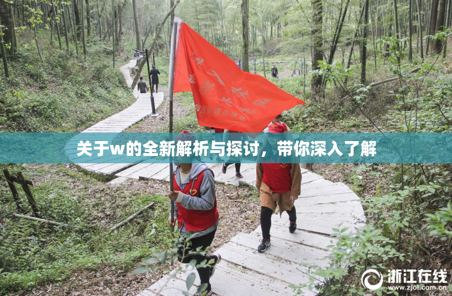 关于w的全新解析与探讨，带你深入了解