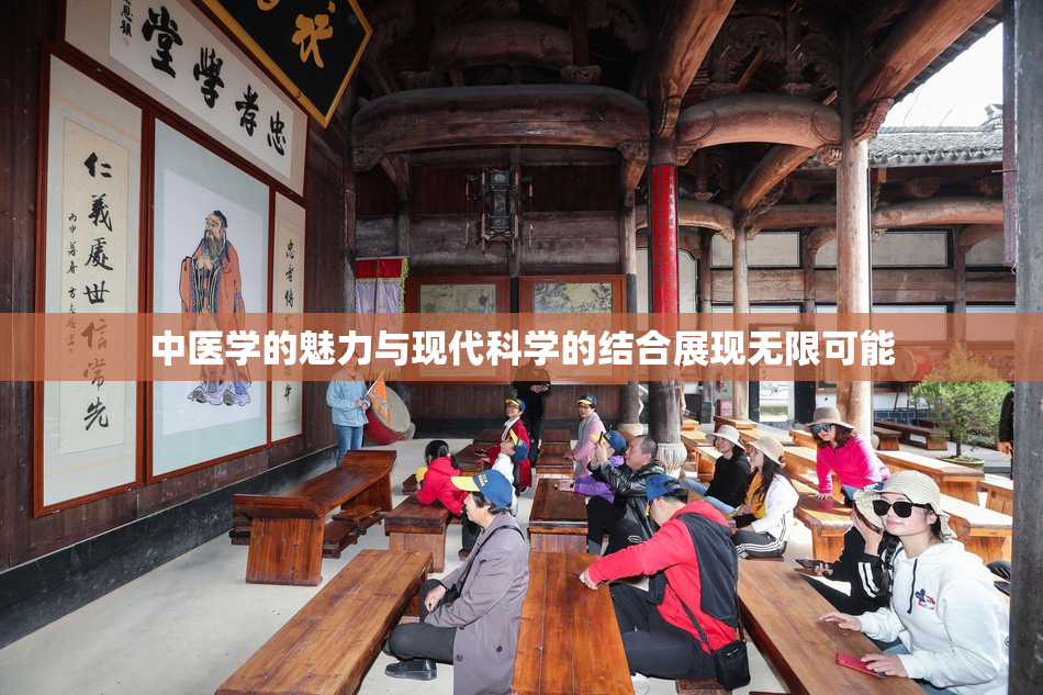 中医学的魅力与现代科学的结合展现无限可能