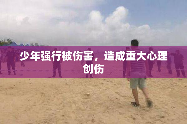 少年强行被伤害，造成重大心理创伤