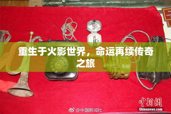 重生于火影世界，命运再续传奇之旅