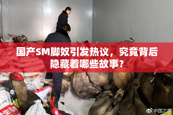 国产SM脚奴引发热议，究竟背后隐藏着哪些故事？