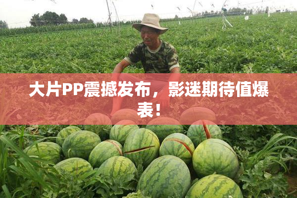 大片PP震撼发布，影迷期待值爆表！
