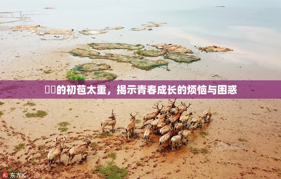 妺妺的初苞太重，揭示青春成长的烦恼与困惑