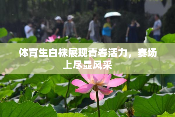 体育生白袜展现青春活力，赛场上尽显风采