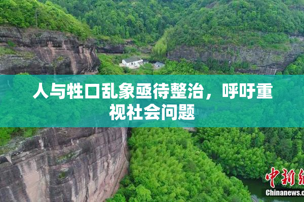 人与牲口乱象亟待整治，呼吁重视社会问题