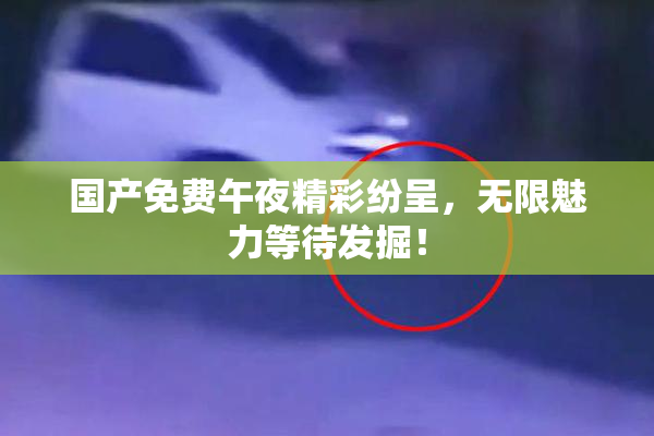 国产免费午夜精彩纷呈，无限魅力等待发掘！