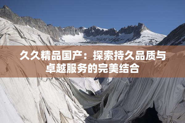久久精品国产：探索持久品质与卓越服务的完美结合