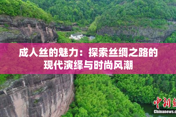 成人丝的魅力：探索丝绸之路的现代演绎与时尚风潮