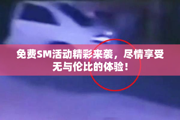 免费SM活动精彩来袭，尽情享受无与伦比的体验！
