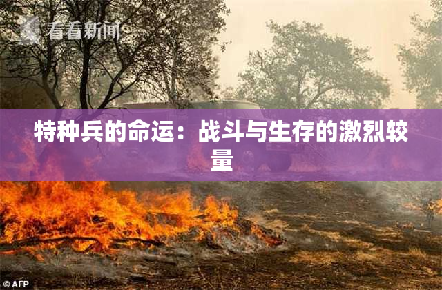 特种兵的命运：战斗与生存的激烈较量