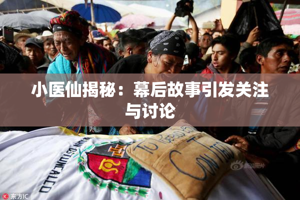 小医仙揭秘：幕后故事引发关注与讨论