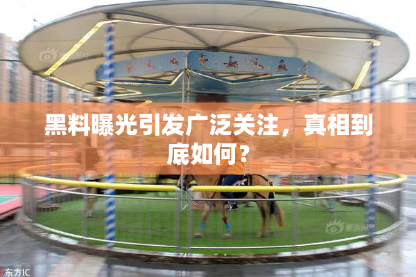 黑料曝光引发广泛关注，真相到底如何？