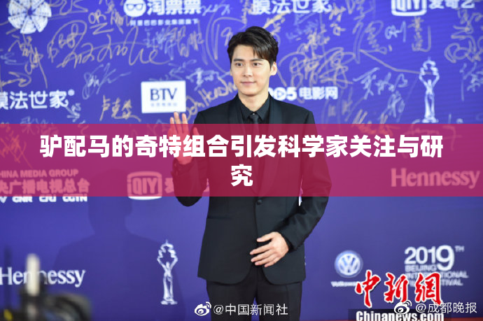 驴配马的奇特组合引发科学家关注与研究