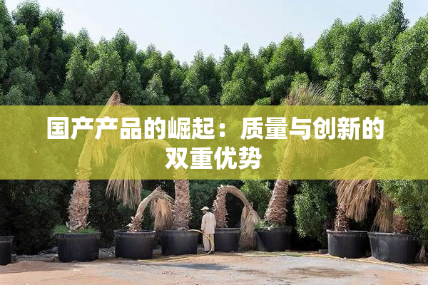国产产品的崛起：质量与创新的双重优势