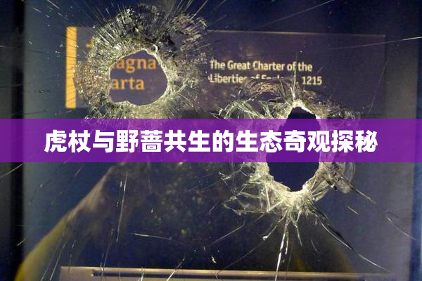 虎杖与野蔷共生的生态奇观探秘