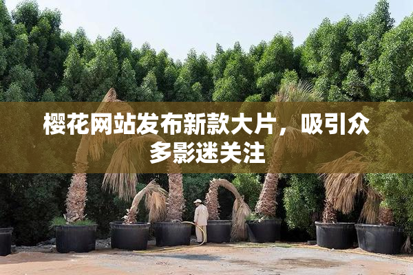 樱花网站发布新款大片，吸引众多影迷关注
