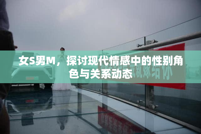 女S男M，探讨现代情感中的性别角色与关系动态