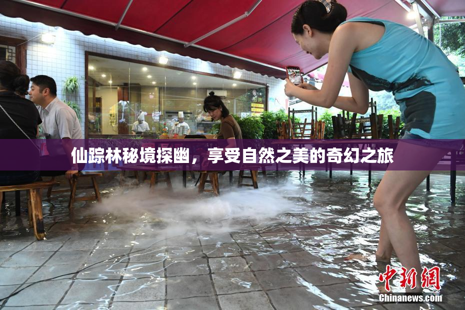 仙踪林秘境探幽，享受自然之美的奇幻之旅